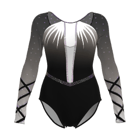 best long sleeve black leotard